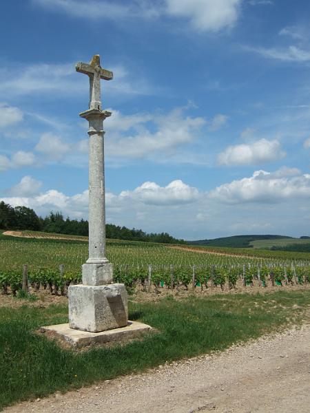 2010-05- (132).JPG
